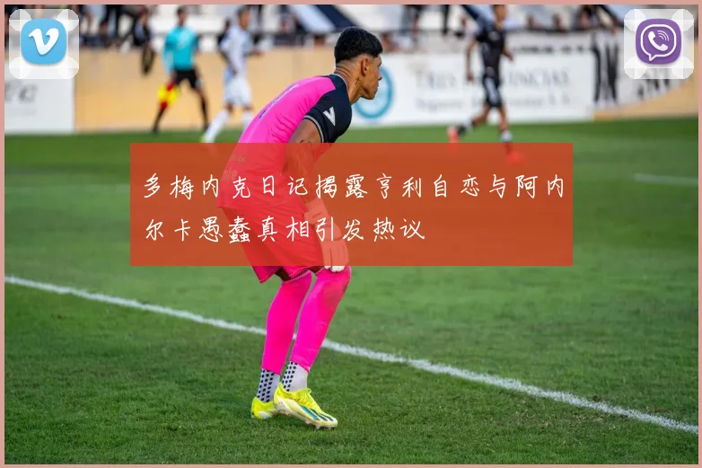 多梅内克日记揭露亨利自恋与阿内尔卡愚蠢真相引发热议