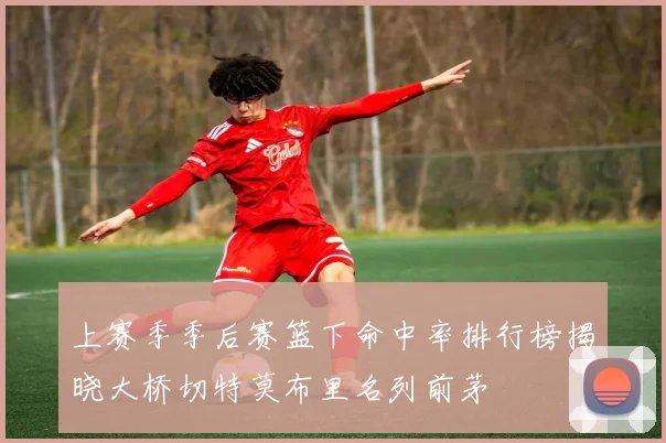 上赛季季后赛篮下命中率排行榜揭晓大桥切特莫布里名列前茅